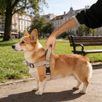 Annchwool No Pull Dog Harness with Front Clip and Easy Control Handle-Belly & Chest Adjustable Dog Harness and Leash Set for Medium Large Dogs-Heavy Duty Vest Harnesses Easy for Walking(Brown,L)