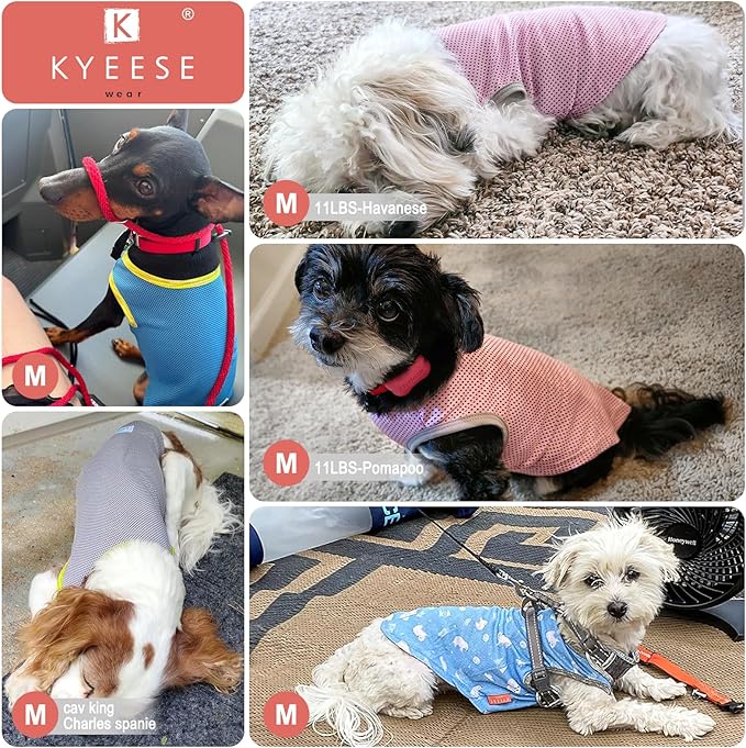 KYEESE 2Pack Dog Cooling Shirt, Breathable Dog Shirt for Small Dogs, Sun Protection Dogs Cooling Vest Tank Top, Lightweight Soft Sleeveless Summer Pet Clothes, Pink+Grey, M