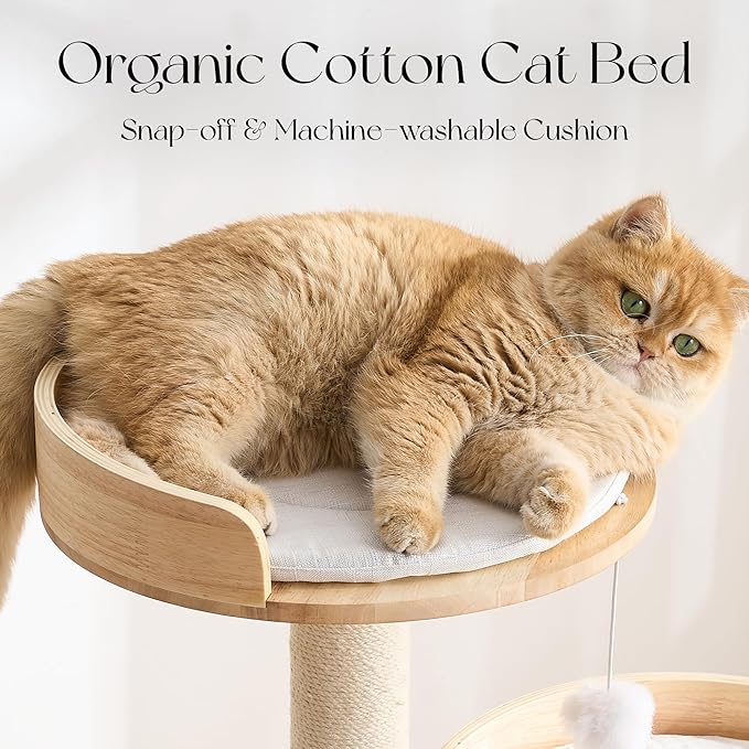 797Audio Morden Solid Wood Cat Tree Tower, 49" Tall Cat Tree with Sisal Scratching Posts and Ladder for Adult Cats, Natural Oak Wooden Cat Tower, Aesthetic Multi-Level Cat Climbing Tree for Indoor Cat