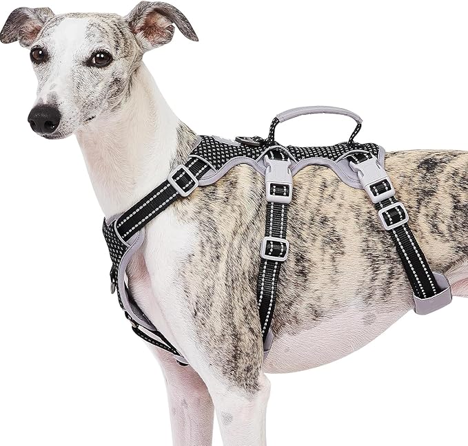 Huntboo Escape Proof Dog Harness, Escape Artist Harness, Fully Reflective Harness with Padded Handle, Breathable,Durable, Adjustable Vest for Medium Dogs Walking, Training, and Running Gear (Black,XS)