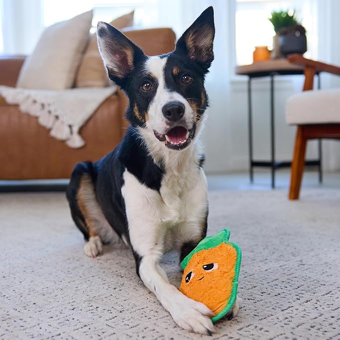 Outward Hound Tough Skinz Durable Squeaky Dog Toy with Two Tough Layers, Carrot, Multicolor, Medium