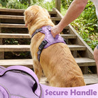 Funfox Dog Harness No Pull, Adjustable Pet Vest Harness, Super Soft Material with Vertical Handle Easy Control, Reflective Night Walking, 2 Leash Clips for XLarge Dogs, Purple, XL