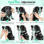 HIGO Dog Head Collar, Adjustable Head Collar for Dogs, No Pulling Head Halter, Training Nose Leash, 3 Pattern Muzzle Leash for Small Medium Large Dogs Easy Walking (Green, XL)
