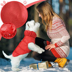 Winter Warm Dog Jacket for Small Medium Dogs Cat Cold Weather Coats with Harness Paded Dogs Fleece Vest Waterproof Windproof Dog Snow Jacket Pet Puppy Clothes (Red,M)