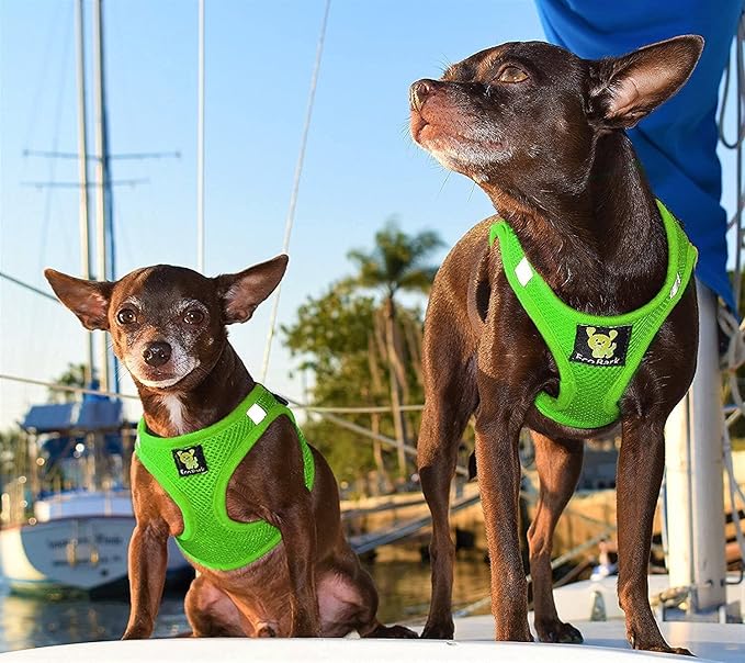 EcoBark Rapid Fastener Super Comfort Fully Adjustable Double Padded Step in Dog Harness (X-Small, Green)