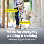 PetSafe Easy Walk Comfort No-Pull Dog Harness - Better Walk Training Harness - Full Body Padded Design - Durable Fabric - 5 Point Adjustable Fit - Everyday Leash Training - Green - X-Small