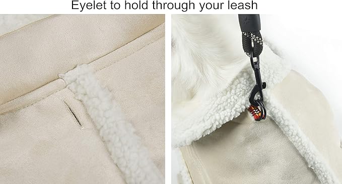 Dog Winter Jacket, Warm Windproof Dog Sweaters for Small Dogs, Thick Apparelf Fleece Coat for Medium Large Dogs (Medium)