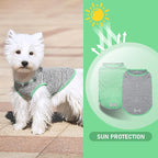 KYEESE 2Pack Dog Shirt, Lightweight Sun Protection Sleeveless Dog T Shirts for Small Dogs Boy, Breathable Pet Reflective Tank Top Summer Dogs Clothes for Outdoor Walking, Grey+Dark Green, M
