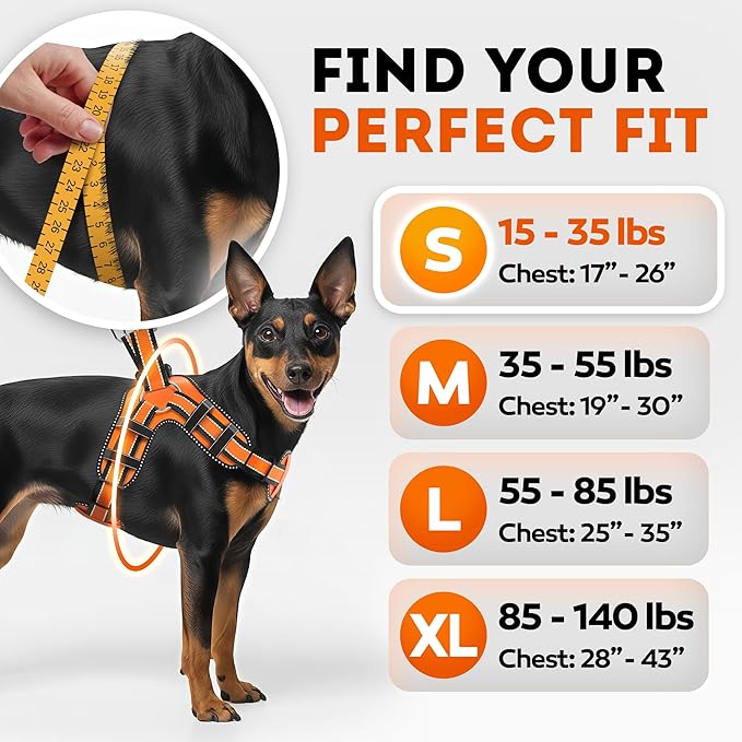 Dog Harness for Small Dogs Back D-Ring Control No Choking Pressure-Free Chest Design Comfortable Padded Adjustable Reflective Vest Harness for Daily Walks Training Easy Control Outdoor Use Secure Fit