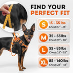 Dog Harness for Small Dogs Back D-Ring Control No Choking Pressure-Free Chest Design Comfortable Padded Adjustable Reflective Vest Harness for Daily Walks Training Easy Control Outdoor Use Secure Fit