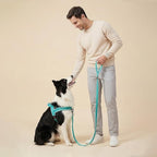 Didog Soft Flannel Padded Dog Vest Harness, No Pull/Quick Fit Reflective Dog Strap Harness, Easy for Training Walking (M:Chest 22-26", Green)
