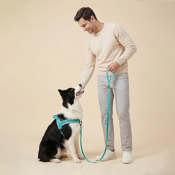 Didog Soft Flannel Padded Dog Vest Harness, No Pull/Quick Fit Reflective Dog Strap Harness, Easy for Training Walking (L:Chest 26-32", Green)