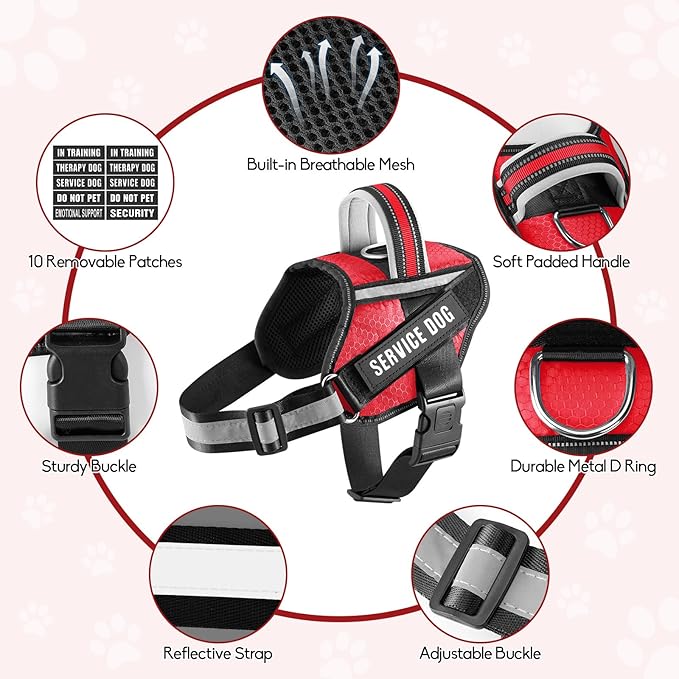 Service Dog Vest Harness and Leash Set, Animire in Training Dog Harness with 10 Dog Patches, Reflective Dog Leash with Soft Padded Handle for Small, Medium, Large, and Extra-Large Dogs (RED,M)