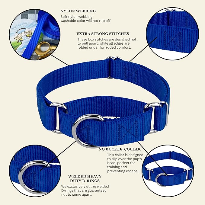 Country Brook Petz - Martingale Dog Collar - Heavy-Duty Training Collar with No Buckle - Service Dog Collar for All Pups - 10+ Cool Colors (Royal Blue, 1 Inch, Large)