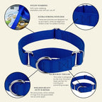 Country Brook Petz - Martingale Dog Collar - Heavy-Duty Training Collar with No Buckle - Service Dog Collar for All Pups - 10+ Cool Colors (Royal Blue, 3/4 Inch, Small)
