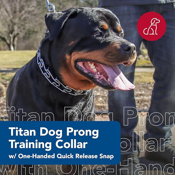Coastal Pet Titan Dog Prong Quick Release Training Collar - Pet Training Collar for Dogs - Rust-Resistant Metal Dog Collar for Dog Training - Prong Dog Chain Collar - Quality Dog Supplies - 3 mm x 18"