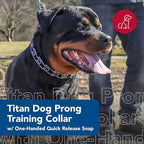 Coastal Pet Titan Dog Prong Quick Release Training Collar - Pet Training Collar for Dogs - Rust-Resistant Metal Dog Collar for Dog Training - Prong Dog Chain Collar - Quality Dog Supplies -3.3mm x 20"