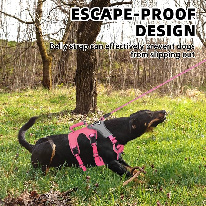 PUPTECK Escape Proof Dog Harness and Leash Set Upgraded No Pull Reflective Dog Vest with Lift Handle, Easy Control Pet Harness for Medium Large Dogs Training Walking Running, Fuchsia, L