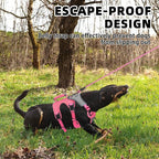 PUPTECK Escape Proof Dog Harness and Leash Set Upgraded No Pull Reflective Dog Vest with Lift Handle, Easy Control Pet Harness for Medium Large Dogs Training Walking Running, Fuchsia, L