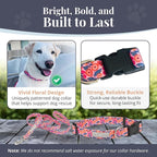 Lucky Love Dog - Easy Click Buckle Dog Collar with Leash Set Combo, Durable & Comfortable for Male & Female Dogs, Pet Collar for Medium Dogs, Secure Fit - Floral Rosie Combo, Medium