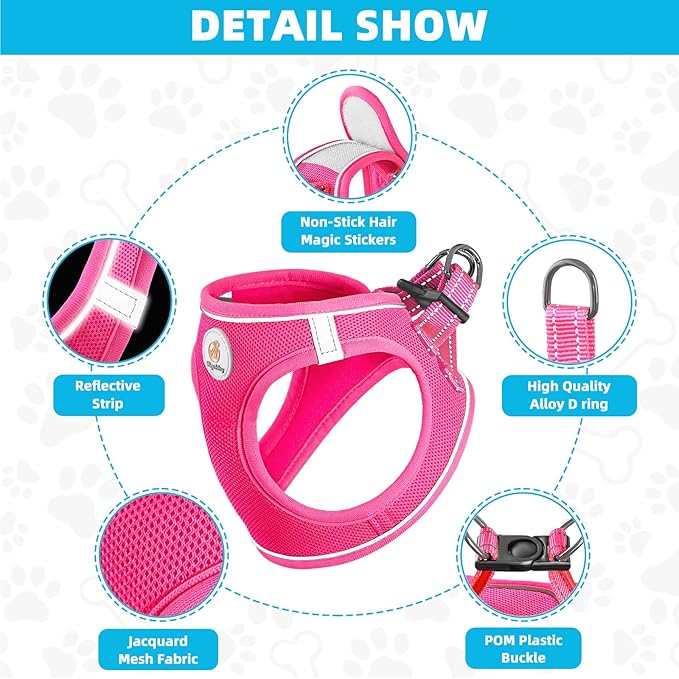 Hipubby Dog Harness and Leash Set, No Pull Soft Mesh Puppy Harness for Small Medium Dogs, Cats - Step in Reflective Breathable Lightweight Vest Harness for Walking, Training - Rose Red, XXS