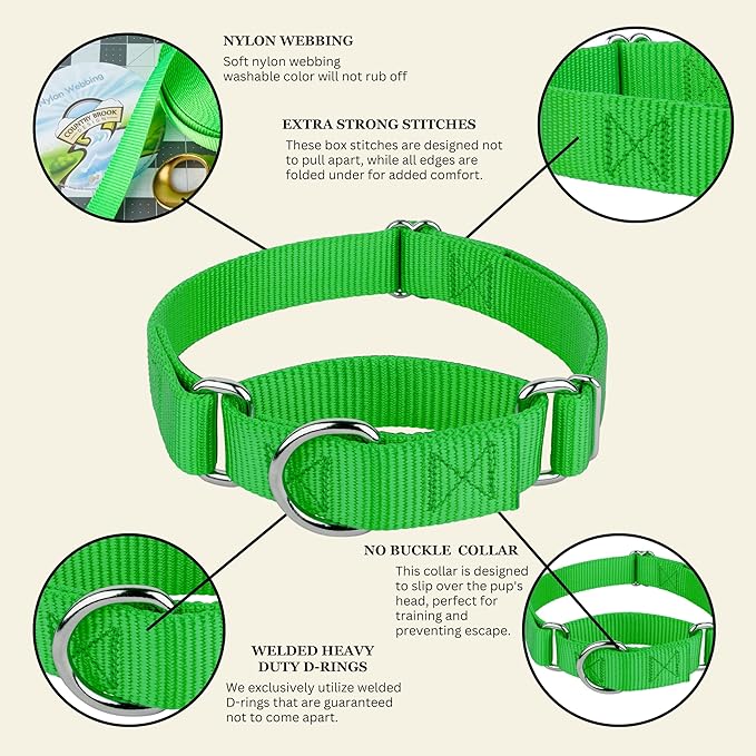 Country Brook Petz - Martingale Dog Collar - Heavy-Duty Training Collar with No Buckle - Service Dog Collar for All Pups - 10+ Cool Colors (Hot Green, 3/8 Inch, 3XS)