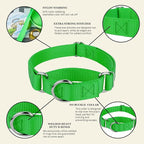 Country Brook Petz - Martingale Dog Collar - Heavy-Duty Training Collar with No Buckle - Service Dog Collar for All Pups - 10+ Cool Colors (Hot Green, 3/8 Inch, 3XS)