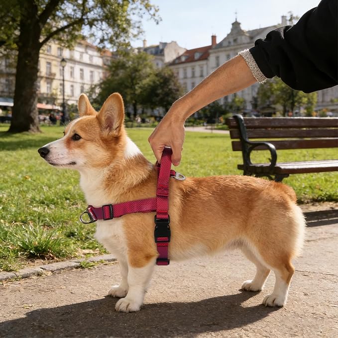Annchwool No Pull Dog Harness with Front Clip and Easy Control Handle-Belly & Chest Adjustable Dog Harness and Leash Set for Small Medium Dogs-Heavy Duty Vest Harnesses Easy for Walking(Red,S)