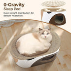 Big Cat Scratcher Lounge, Corrugated Cardboard Cat Scratcher House with Hole, Large Scratching Lounger Bed, Cat Scratching Pad for Indoor Cats as Furniture Protector, Rabbit Cardboard House