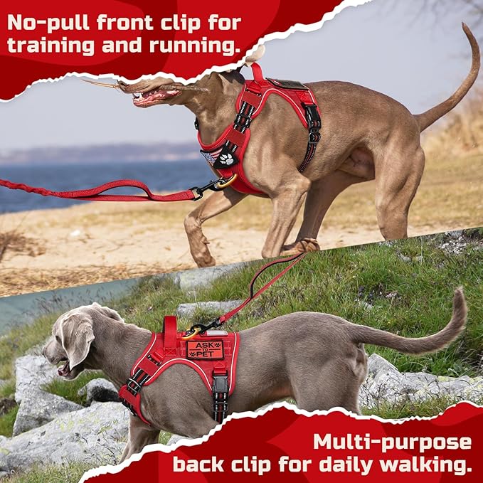rabbitgoo Tactical Dog Harness for Large Dogs, No Pull Military Service Vest with Handle & Molle, Easy Control for Training Walking, Adjustable Reflective Straps, Red, XL