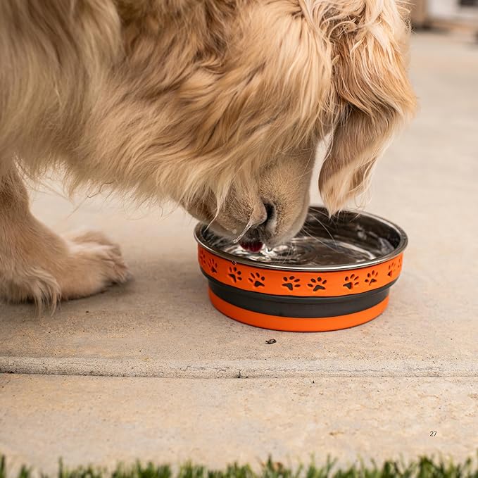 Loving Pets Corsa Dog Bowls- Stainless Steel Dog & Cat Bowls - Spill Proof Dog Food Bowl, Cat Bowl, Puppy Essentials & Pet Supplies Great for Home & Travel (Large 35-65 lbs, Inferno Orange)