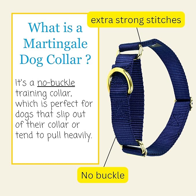 Country Brook Petz - Martingale Dog Collar - Heavy-Duty Training Collar with No Buckle - Service Dog Collar for All Pups - 10+ Cool Colors (Navy Blue, 3/4 Inch, Small)