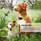 Hikiko Martingale Collar for Dogs Cute Floral Dog Collar for Small Medium Large Dogs Soft Nylon Quick Release Dog Collars (Yellow Flower,Medium)