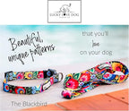 Lucky Love Dog - Adjustable Dog Collar with Easy Click Buckle for Small Dogs, Durable, & Comfortable for Male & Female Dogs, Pet Collar for Puppies & Adult Dogs - Blackbird, Small