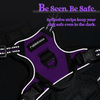 rabbitgoo Dog Harness No Pull with 2 Leash Clips, Adjustable Soft Padded, Reflective Oxford No Choke Pet Vest with Easy Control Handle for Puppy, Purple,XS