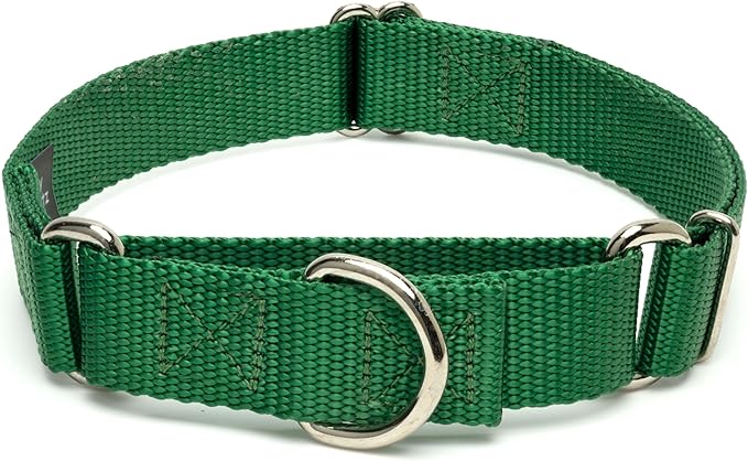 Country Brook Petz - Martingale Dog Collar - Heavy-Duty Training Collar with No Buckle - Service Dog Collar for All Pups - 10+ Cool Colors (Christmas Green, 5/8 Inch, Extra Small)
