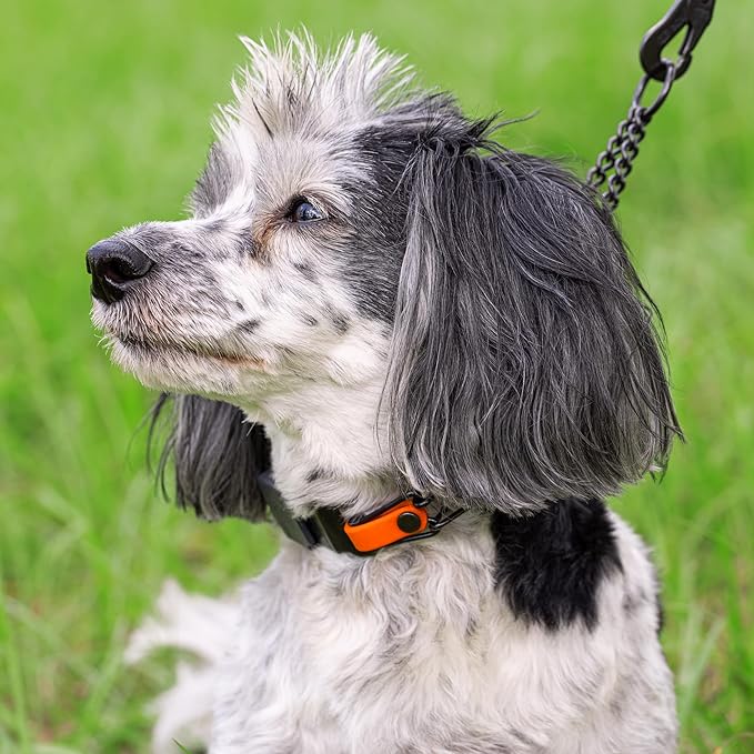 Herm Sprenger Black Stainless Steel Dog Collar with Quick Release ClicLock Buckle O-Ring Biothane Insert Training Collar Made in Germany (Hunter Orange, 16in x 2.25mm(Neck Size up to 13-14in))