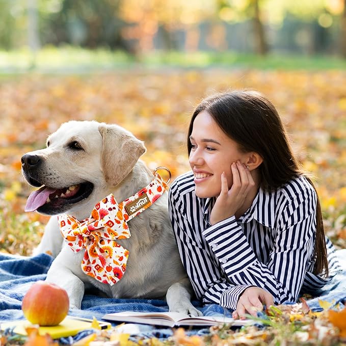 Tunkoo Dog Collar with Pretty Bow Tie Pumpkin and Turkey Pattern - Durable, Adjustable and Stylish Thanksgiving Pet Collar, Available in Small Medium Large, M