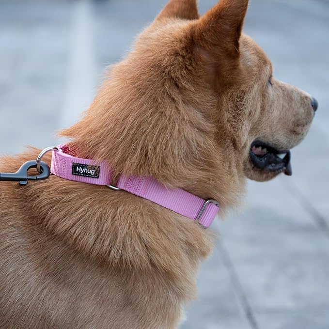 Hyhug Martingale Collar for Dogs Large Pink |Escape - Proof Heavy Duty Nylon Durable No Pull, Ideal for Training & Daily Walks