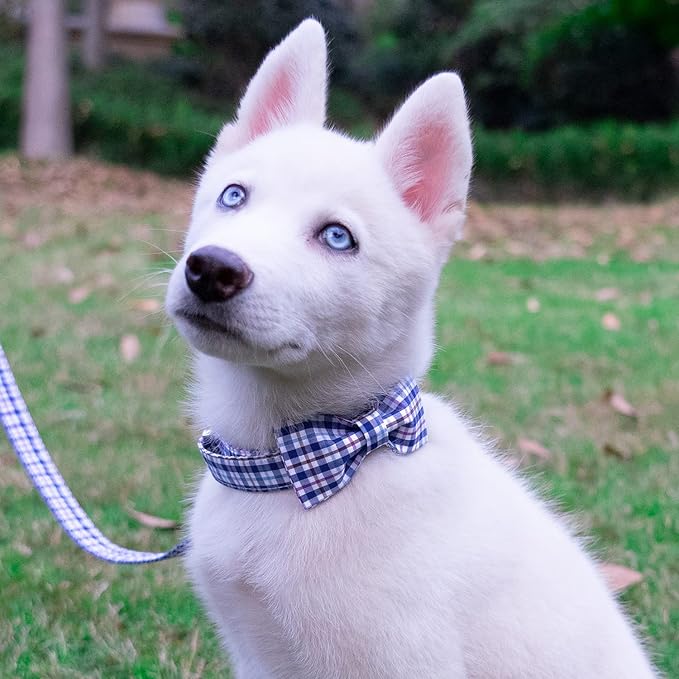 Tunkoo Dog Collar with Bow Tie Elegant Plaid Soft Comfy Cotton Adjustable Collar Premium Metal Buckle,Small Medium Large Puppy Cat Outdoor Training Walking Running（Bule Grid，L）