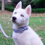 Tunkoo Dog Collar with Bow Tie Elegant Plaid Soft Comfy Cotton Adjustable Collar Premium Metal Buckle,Small Medium Large Puppy Cat Outdoor Training Walking Running（Bule Grid，L）