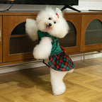 CuteBone Christmas Tree Dog Dress Velvet for Small Dogs Girl Puppy Dresses Green Plaid Dog Clothes CVA05S-D