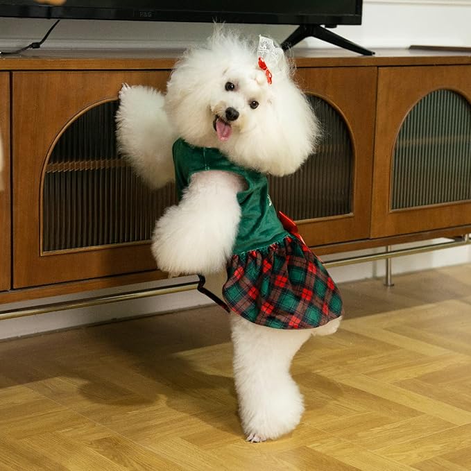 CuteBone Christmas Tree Dog Dress Velvet for Small Dogs Girl Puppy Dresses Green Plaid Dog Clothes CVA05XS-D