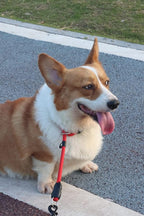 LOS ANDES Dog Slip Collar with Slidable Stopper, No Pull Choker Training Martingale Collar for Small Medium Large Dogs, Nylon, Red, S (15 in x 8 mm)