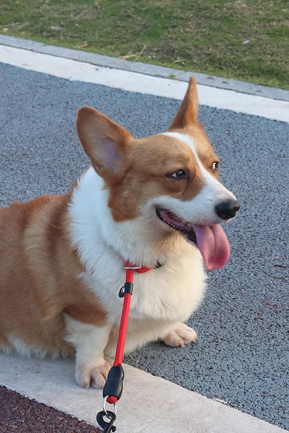 LOS ANDES Dog Slip Collar with Slidable Stopper, No Pull Choker Training Martingale Collar for Small Medium Large Dogs, Nylon, Orange, L (25 in x 12 mm)