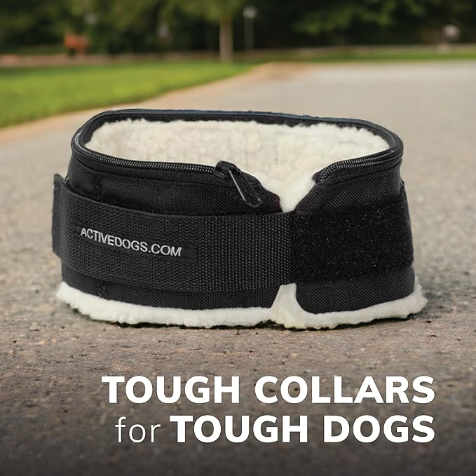 ActiveDogs Weighted Dog Collar for Muscle Building and Tactical Training - Dog Weighted Vest for Exercise - Includes 5x1lb Weights & Sheepskin Padding - Ideal for K9, Bully, Bull Terrier & More