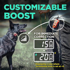 Dogtra E-Collar Tom Davis 280C Boost & Lock, Waterproof, 1/2-Mile Range Dog Training Collar with Remote, Rechargeable, 127 Levels, Vibration, Bungee, No Bad Dogs Trainer for Small, Medium, Large Dogs