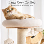 797Audio Modern Wood Cat Tree Tower, 64" Cat Tree with Sisal Scratching Posts, Condo, Capsule, Hammock for Indoor Cats, Solid Rubber Wooden Cat Tree, Multi-Level Tree for Large Adult Cat