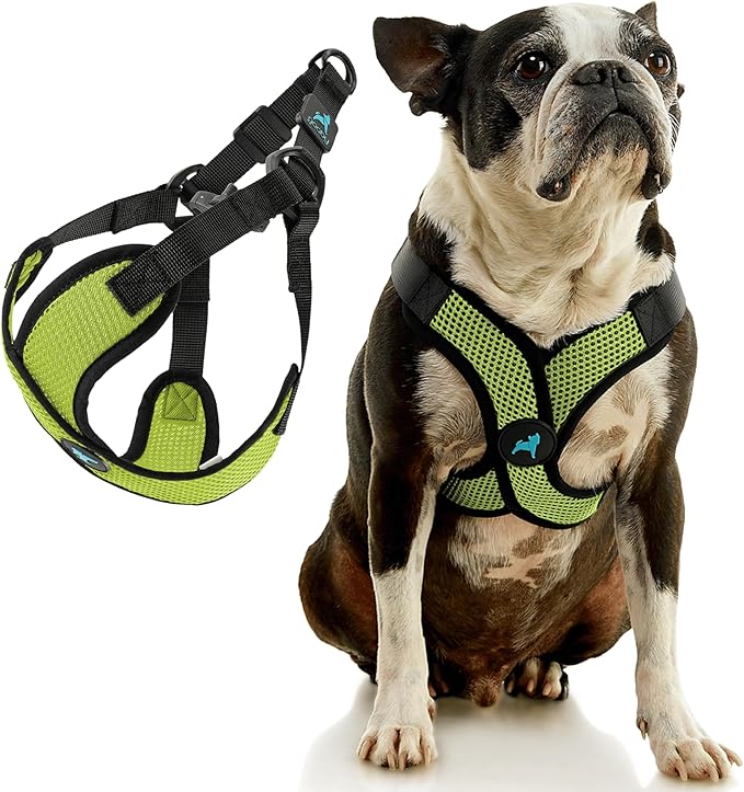 Gooby Comfort X Step in Lite Dog Harness - Choke Free, Escape Free with Light Breathable Mesh - Step in Dog Harness for Small Dogs Only - Quick Release Buckle, Metal D-Rings - Green, Small