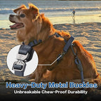 PawsPassion Dog Harness for X-Large Dogs, No Pull Dog Harness Easy Walk with Metal Hardware, Ergonomic Y-Shaped Design, Soft Padding, Padded Handle, Durable High-Tensile Nylon (Nightfall, XL)